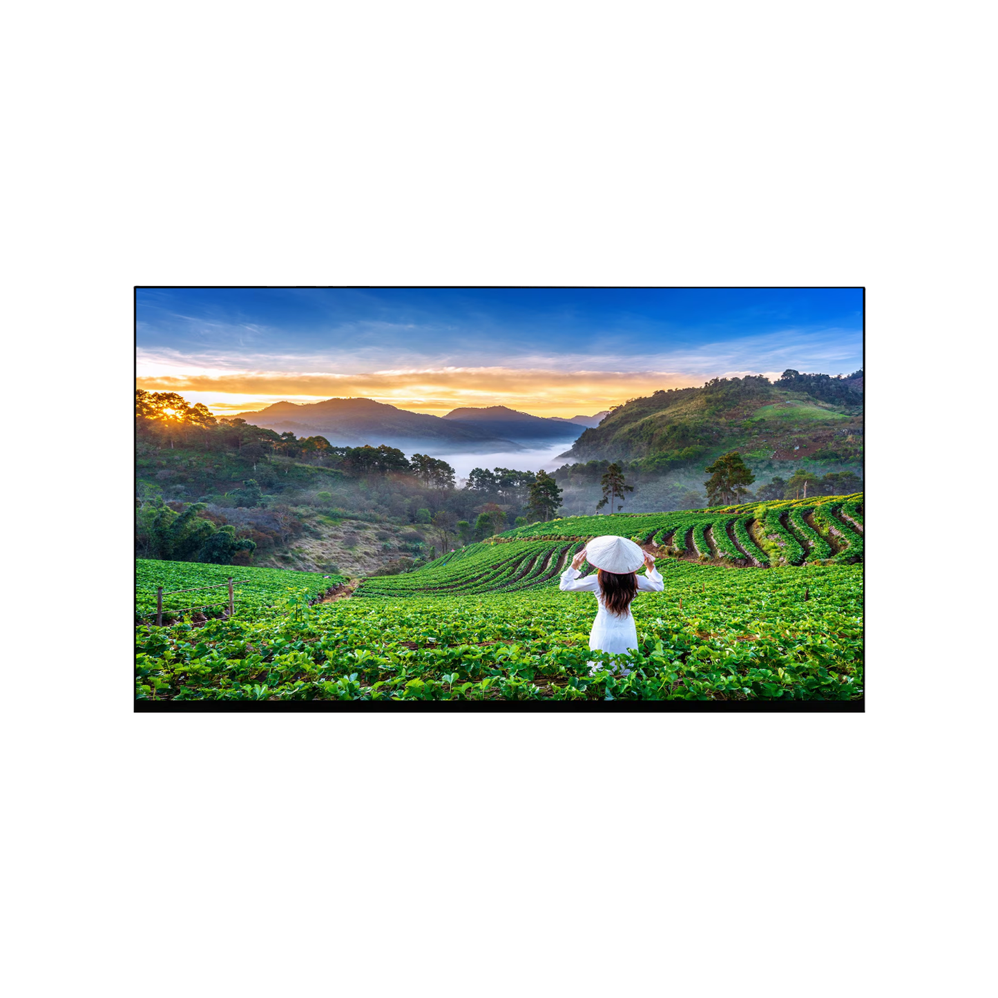 43” Android (500nits) Wallmount Signage Display TV