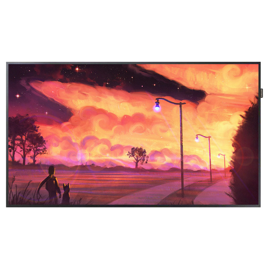Model - QM55H  High End Professional Display for AVSI & Digital Signage Projects with 4K UHD Resolution 500nit Brightness - ThinPC